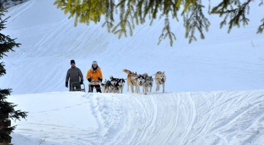 From Krakow: Dogsled Ride in Tatra Mountain - Krakow pickup to the Tatra: why the logistics are a big part of the value