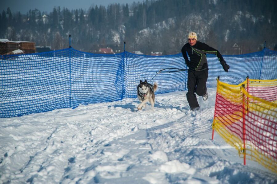 From Krakow: Dogsled Ride in Tatra Mountain - The winter road and the mountain stops: what you should watch for
