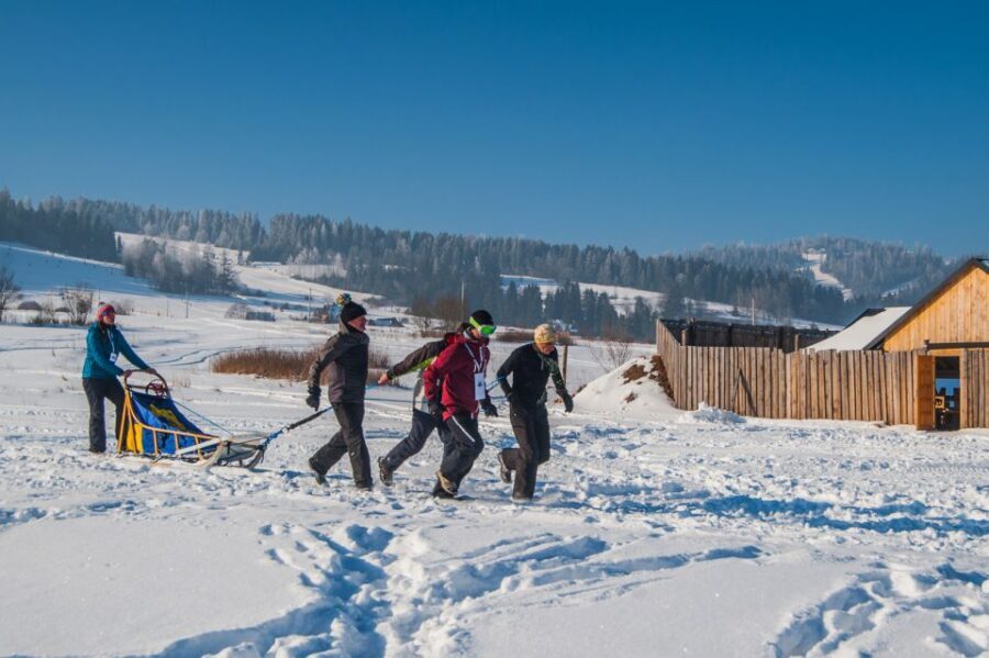 From Krakow: Dogsled Ride in Tatra Mountain - If there’s no snow: the wheeled cart backup