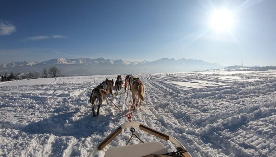 From Krakow: Dogsled Ride in Tatra Mountain - Practical packing: what to wear so you don’t lose the fun