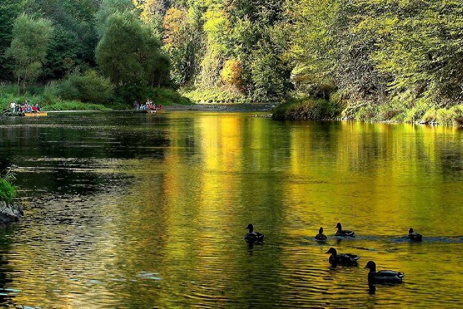 From Krakow: Dunajec River Rafting in Pieniny Mountains - Why Dunajec Rafting from Kraków Works So Well