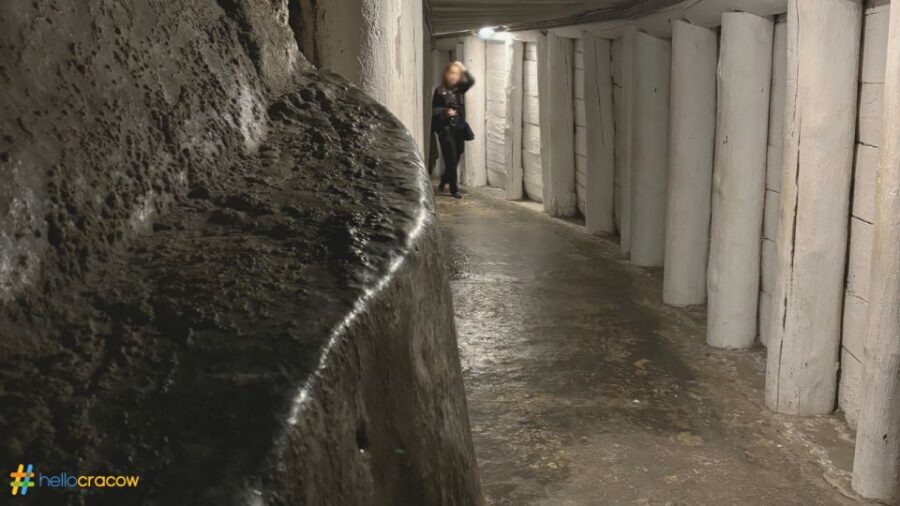 From Krakow: Guided Tour in Wieliczka Salt Mine - Transportation Comfort and the Group Factor