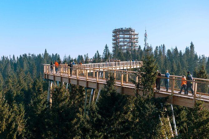 From Krakow: Morskie Oko in the Tatra Mountains and Slovakia Treetop Walk - Pace, group size, and what a “full day” really means