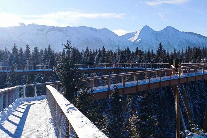 From Kraków: Slovakia Treetop Walk and Bachledka Ski - Key highlights to look for