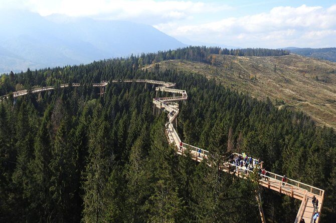 From Kraków: Slovakia Treetop Walk Bachledka and Zakopane - Bachledka Treetop Walk: walking among the tree crowns at 18–24 metres
