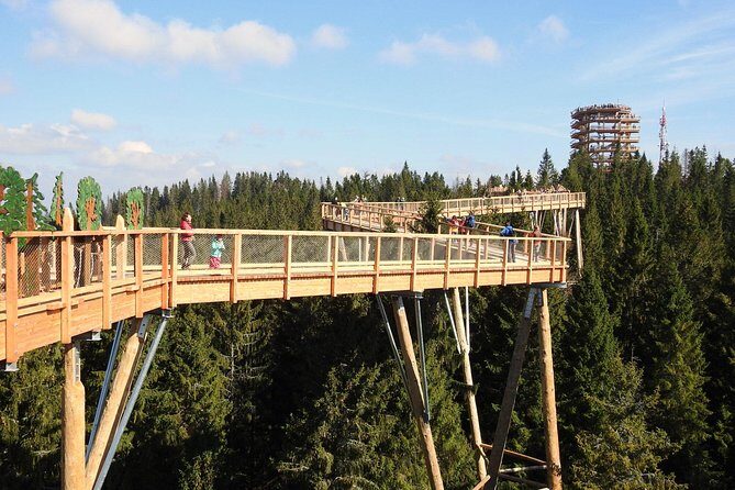 From Kraków: Slovakia Treetop Walk Bachledka and Zakopane - Slovakia’s culture stop: Ždiar and the borderland feeling
