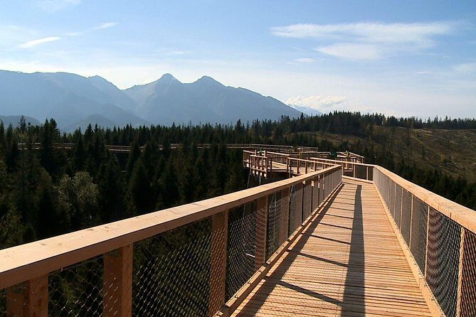 From Kraków: Slovakia Treetop Walk Bachledka and Zakopane - The observation platform at 32 metres and your choices for the descent
