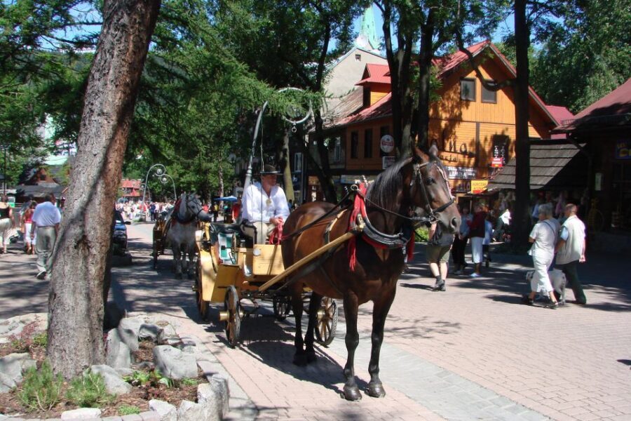 From Krakow: Slovakia Treetop Walk, Zakopane & Thermal Spa - Why this route makes sense from Krakow