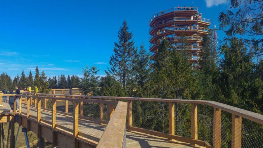 From Krakow: Slovakia Treetop Walk, Zakopane & Thermal Spa - Bachledka Treetop Walk: the 24-meter wow factor