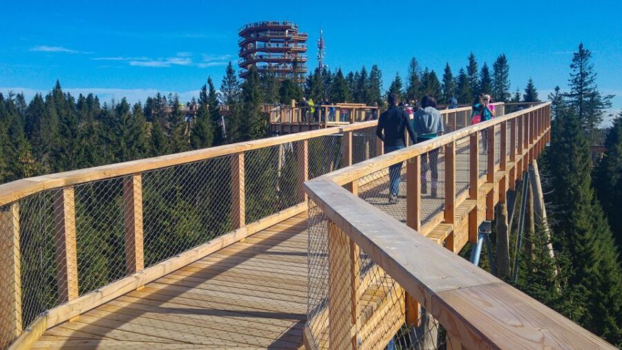 From Krakow: Slovakia Treetop Walk, Zakopane & Thermal Spa - Timing reality: what 12 hours feels like on the ground