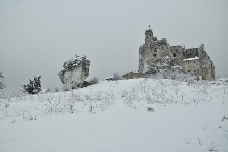 From Krakow: Trail of the Eagles’ Nests Day Tour - The Błędowska Desert viewpoint: Europe’s oddball stop on a castle day