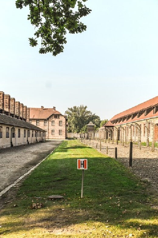 From Krakow: Wieliczka Salt Mine & Auschwitz Guided Trip - Who should choose this tour, and who should look elsewhere