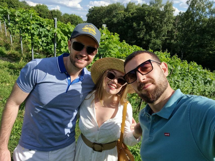 From Krakow: Wine Tasting at Vineyard - Price and value: what $224 includes (and what it doesn’t)