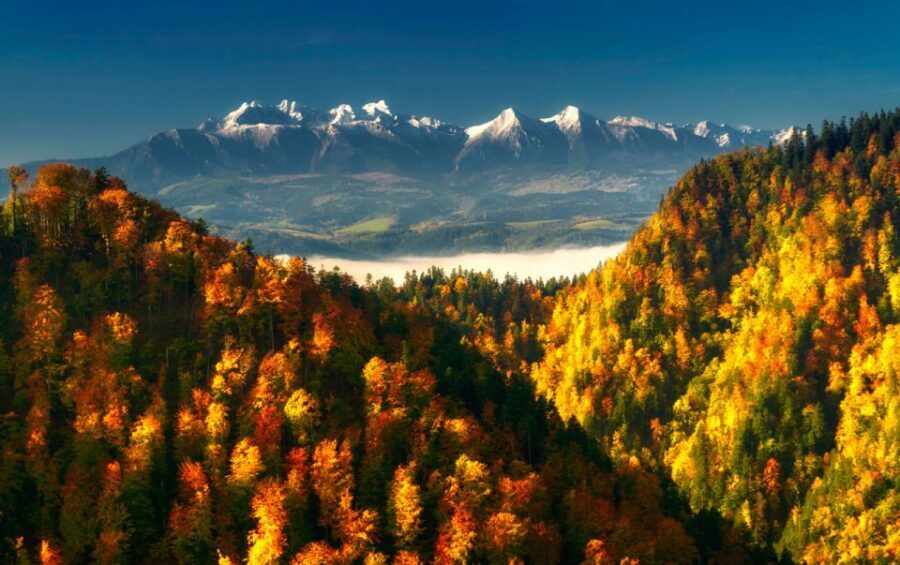 From Kraków: Witów Skiing and Zakopane Tour - Should you book the Kraków to Witów Skiing and Zakopane Tour?