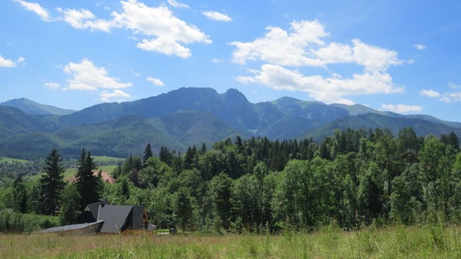 From Krakow: Zakopane Full-Day Tour with Lunch Option - Zakopane’s main street: Krupowki shopping and local life