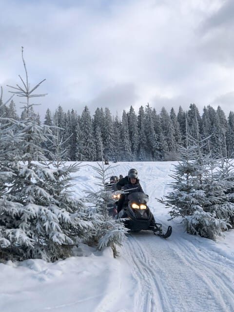 From Krakow: Zakopane Snowmobile NIGHT Ride, Bonfire, - Campfire break: oscypek and mulled wine after the ride