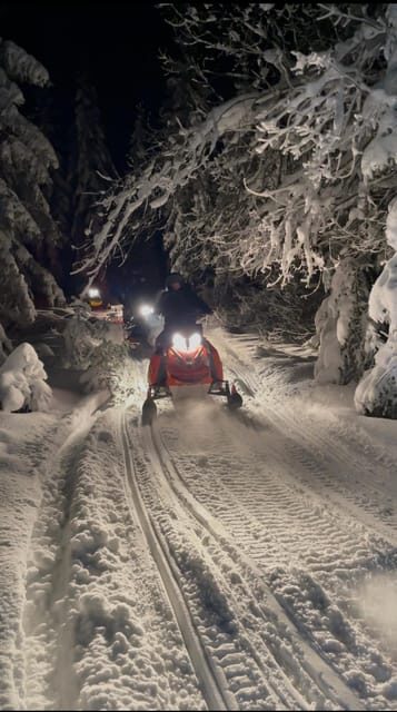 From Krakow: Zakopane Snowmobile NIGHT Ride, Bonfire, - Meeting point in Krakow: find the green store fast