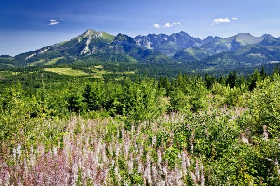 From Krakow: Zakopane Tatra Mountains & Hot Springs Tour - Gubałówka by cable car: quick altitude, real weather checks