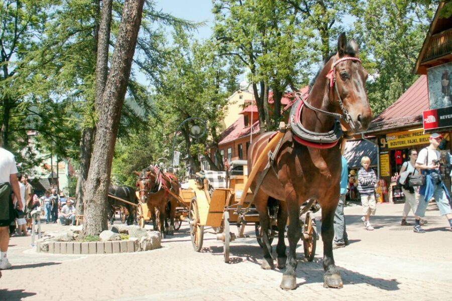 From Krakow: Zakopane & Tatra Mountains Tour - Timing, pace, and comfort: how to get the most from 11 hours