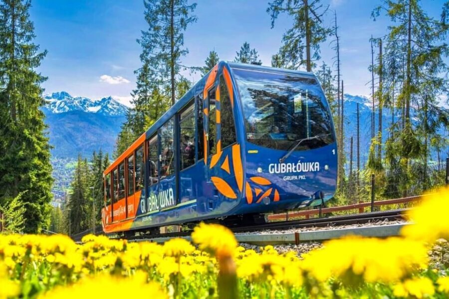 From Krakow: Zakopane & Tatra Mountains Tour with Cable Car - Zakopane free time: how to use your window well