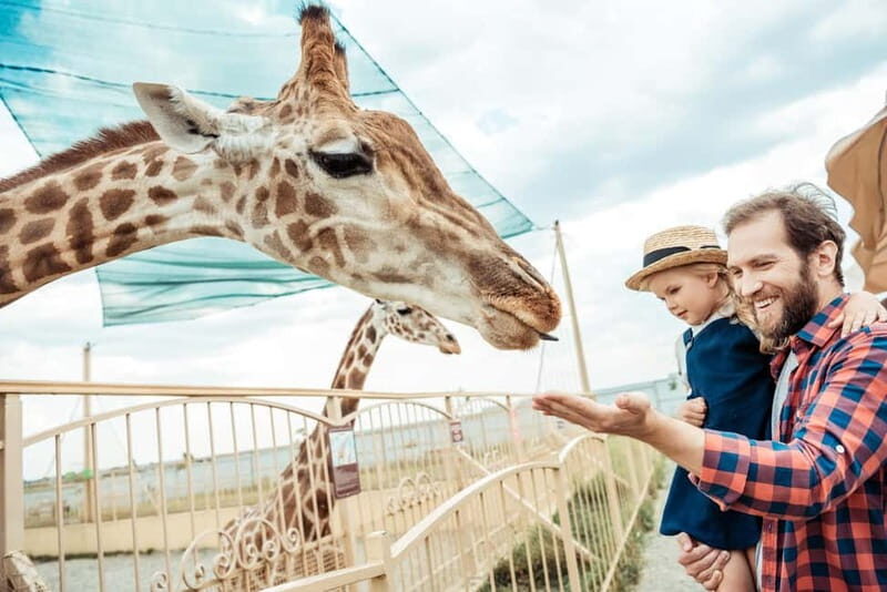 From Krakow: Zoo Trip with Private Luxury Transfer - Key Points I’d Highlight Before You Go
