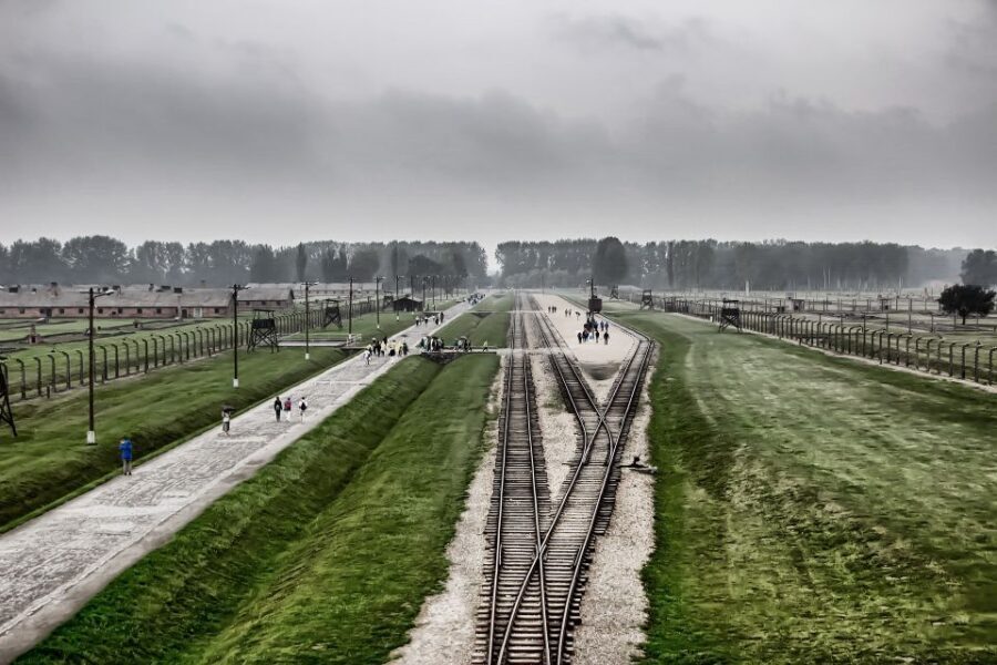 From Warsaw: Auschwitz-Birkenau Guided Tour with Fast Train - Audio, pace, and staying comfortable (headsets help, but plan anyway)