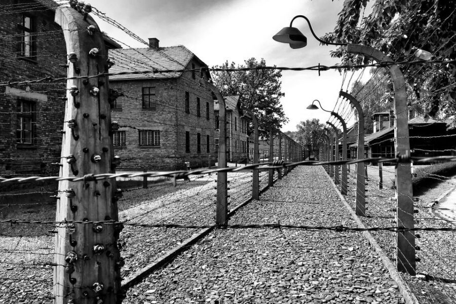 From Warsaw: Auschwitz-Birkenau Guided Tour with Fast Train - Price and value at $181: what you’re really paying for