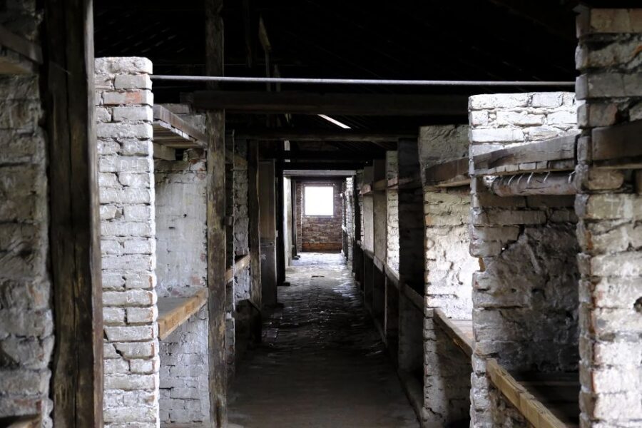From Warsaw: Auschwitz-Birkenau Guided Tour with Fast Train - Who should book this Auschwitz fast-train tour (and who should skip it)