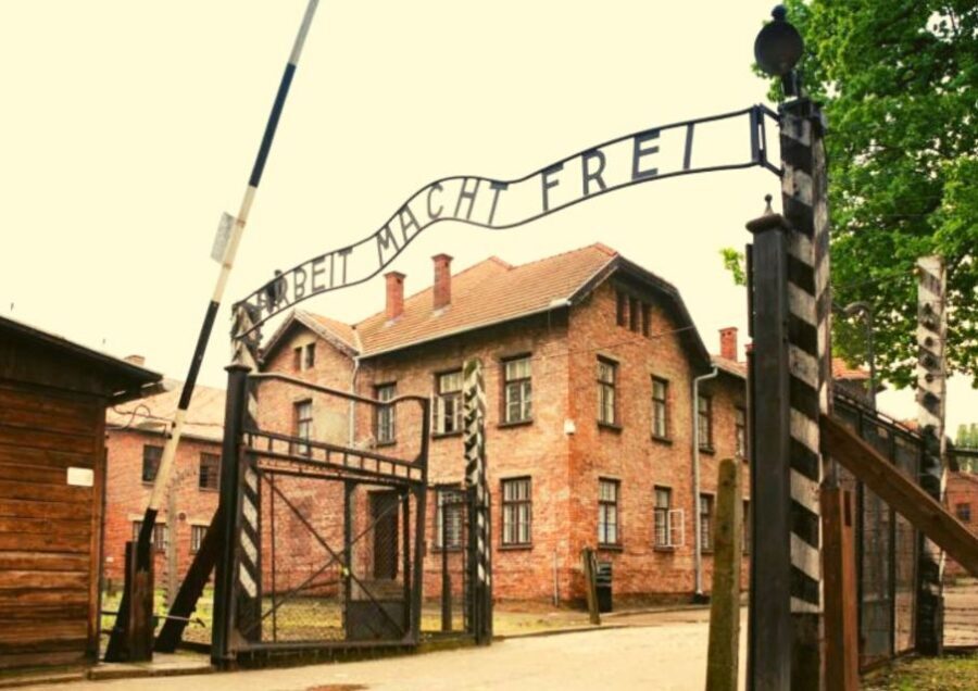 From Warsaw: Auschwitz-Birkenau Small Group Tour with Lunch - Key points at a glance