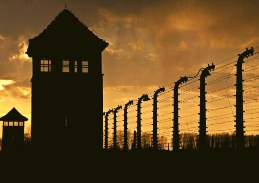 From Warsaw: Auschwitz-Birkenau Small Group Tour with Lunch - FAQ