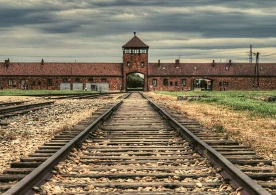 From Warsaw: Auschwitz-Birkenau Small Group Tour with Lunch - Museum rooms and artifacts: what you’ll gain from the inside stops