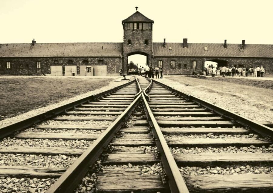 From Warsaw: Auschwitz-Birkenau Small Group Tour with Lunch - Skip the ticket line and small-group logistics: why $350 can make sense