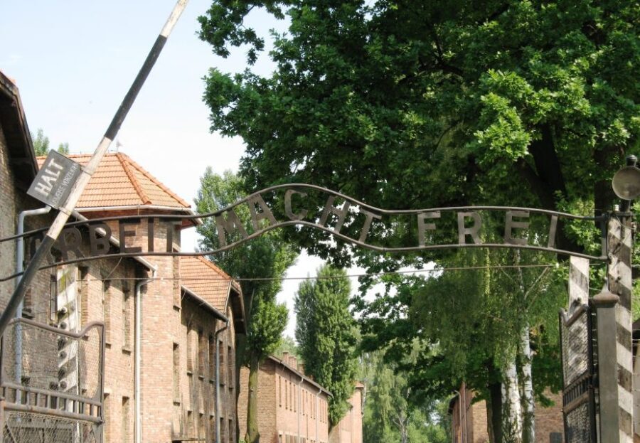 From Warsaw: Auschwitz-Birkenau Small Group Tour with Lunch - Should you book Auschwitz-Birkenau from Warsaw with lunch?