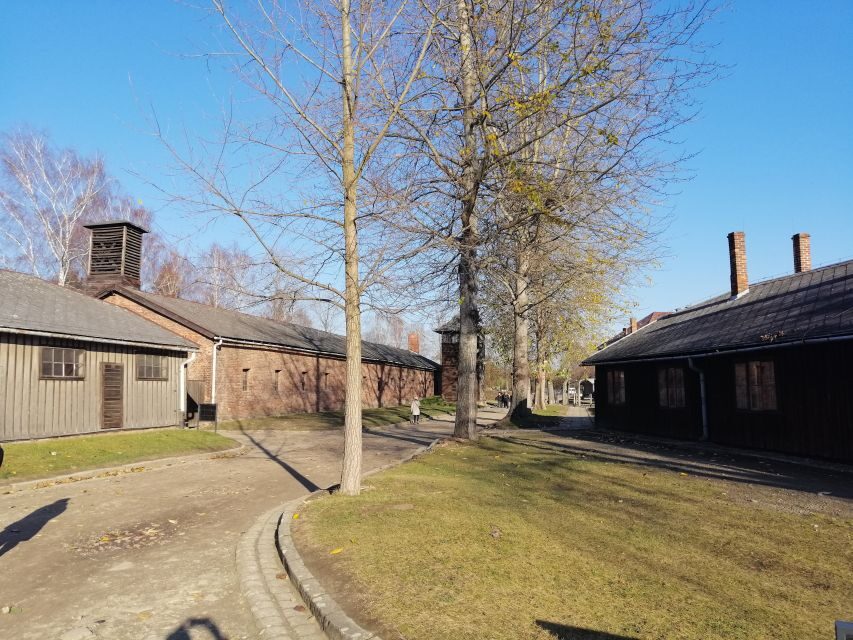 From Warsaw: Auschwitz-Birkenau Tour by Car - Auschwitz II-Birkenau: The Scope Hits in a Different Way