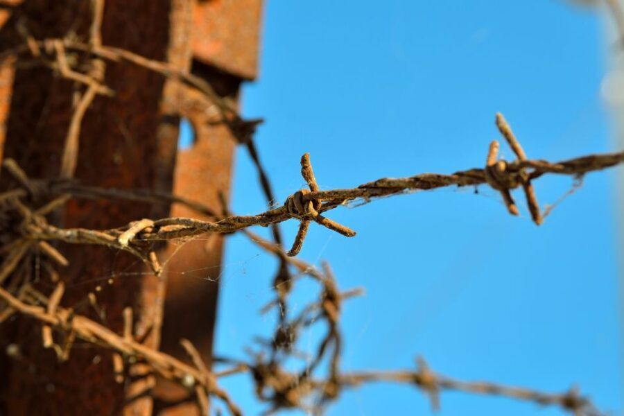 From Warsaw: Auschwitz-Birkenau Tour by Car - What You Get for the Price (And What You Don’t)