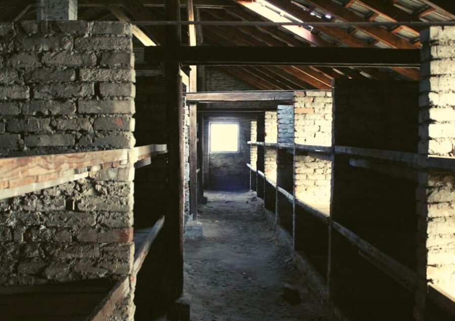From Warsaw: Auschwitz Day Tour by Private Car with Lunch - Who should book this tour from Warsaw