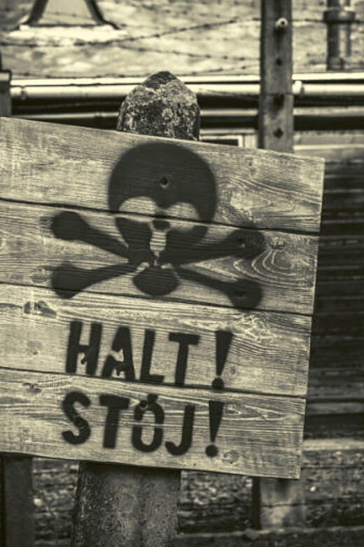 From Warsaw: Auschwitz Day Tour by Private Car with Lunch - Skip-the-line ticket access: where you’ll feel the time savings