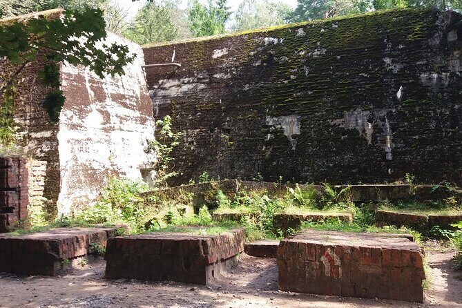 From Warsaw day tour to Wolf's Lair, Hitler's HQ by car - Key Points to Know Before You Go