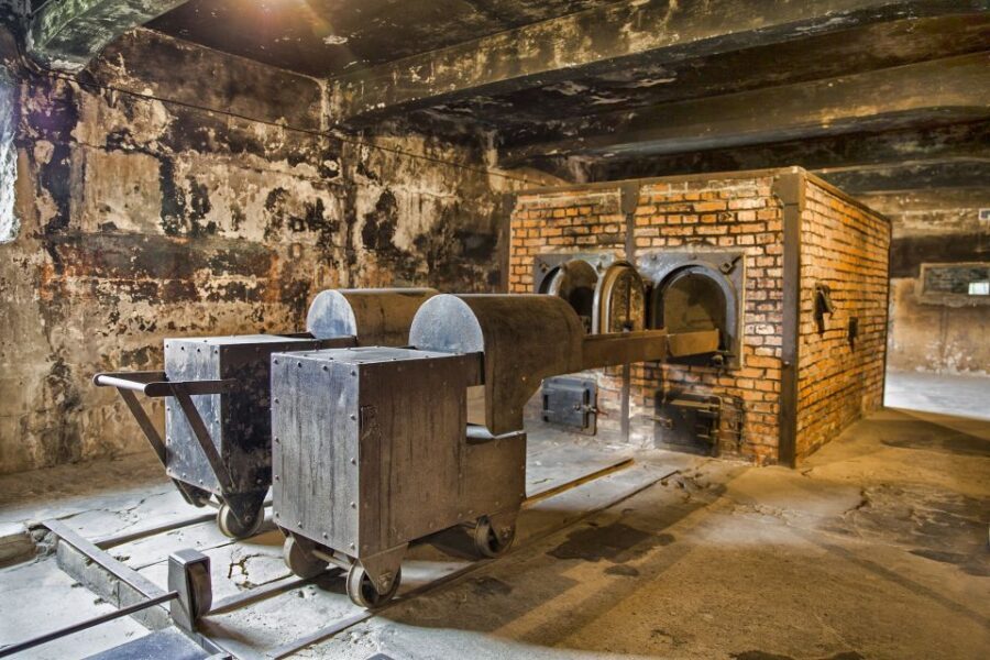 From Warsaw: Guided Tour to Auschwitz-Birkenau and Krakow - Who should book this tour (and who should skip it)