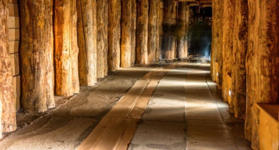 From Warsaw: Guided Tour to Wieliczka Salt Mine and Krakow - Who this tour fits best (and who should look elsewhere)