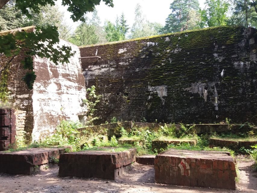 From Warsaw: Tour of the Wolf's Lair, Hitler's HQ by Car - The city-within-a-city details you’ll actually notice
