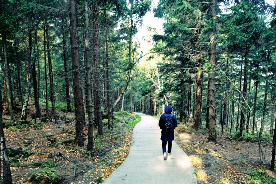From Wroclaw: Full-Day Stolowe Mountains Trekking Tour - What to wear and bring for a mountain day plus a chapel stop