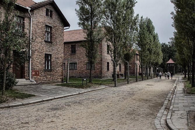 Full-Day Auschwitz and Birkenau Tour from Krakow with Private Transfer - Group size reality check: private transfer does not always mean private touring