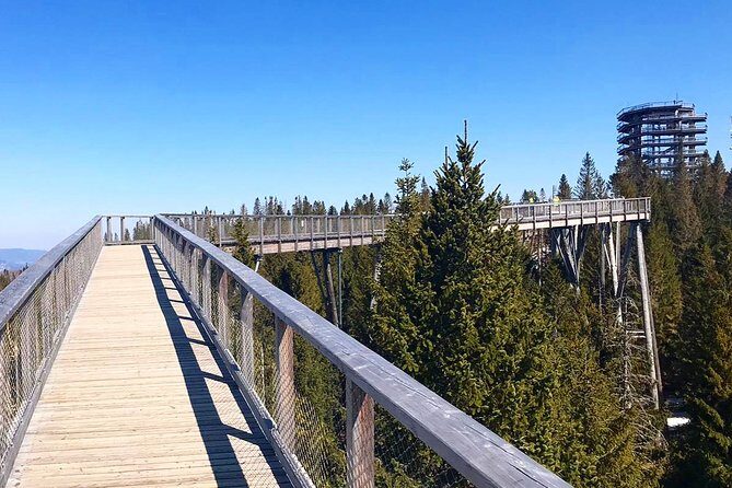 Full-Day Zakopane and Slovakia Treetop Walk From Krakow - Weather, comfort, and what to bring for a long mountain day