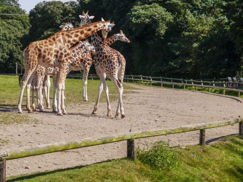 Gdansk: Oliwa Zoo with Tickets and Roundtrip Transportation - Door-to-door transport from Gdańsk, with less hassle