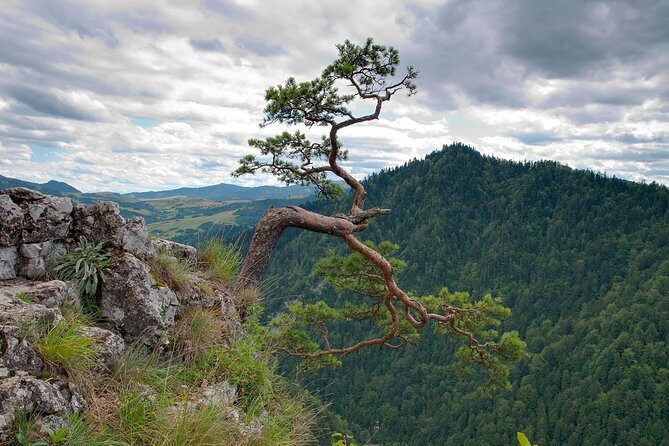 Half-Day Dunajec River Rafting tour from Krakow - Getting to the river: your Krakow pickup and the simple transfer