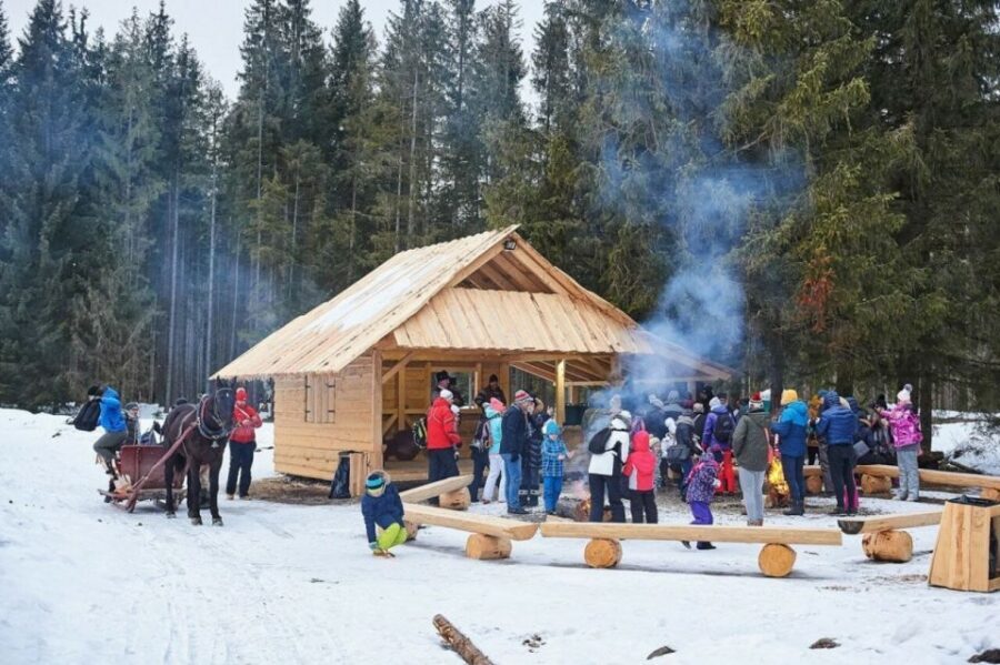 Horse Sleigh 2-3h Ride with Hot Springs or Zakopane Combos - Why This Zakopane Horse Sleigh + Spa Day Feels Like Two Trips