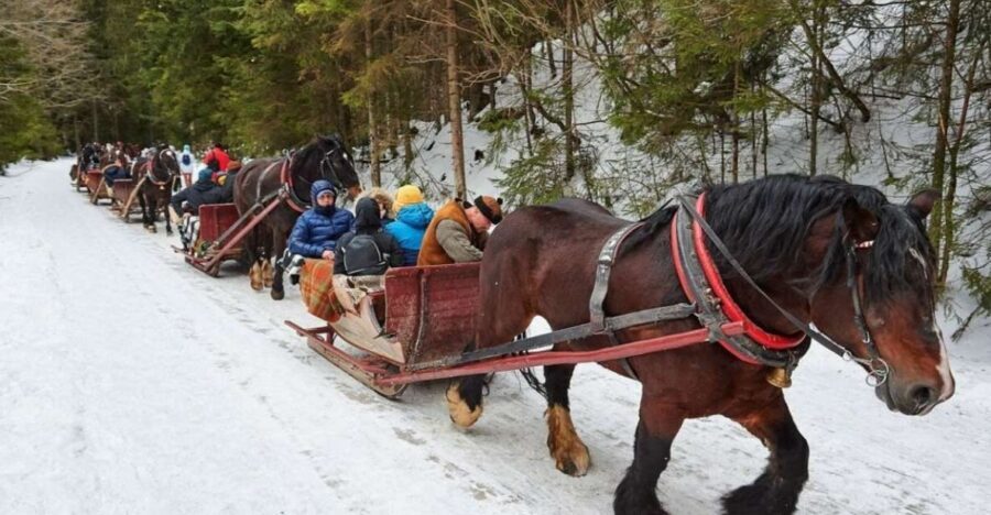 Horse Sleigh 2-3h Ride with Hot Springs or Zakopane Combos - Hotel Pickup and the Flow of a 450-Minute to 14-Hour Day