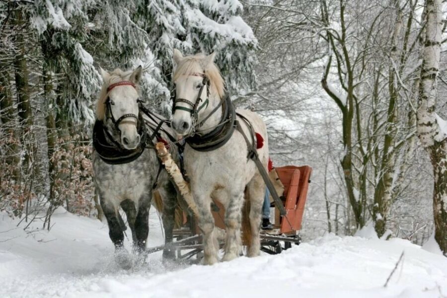 Horse Sleigh 2-3h Ride with Hot Springs or Zakopane Combos - Gubałówka Funicular: Tatra Views and That Ski Jump Hill