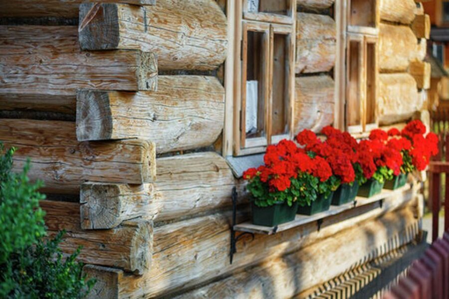 Horse Sleigh 2-3h Ride with Hot Springs or Zakopane Combos - Chocholowska Thermal Baths: Your Warm Reset After the Snow